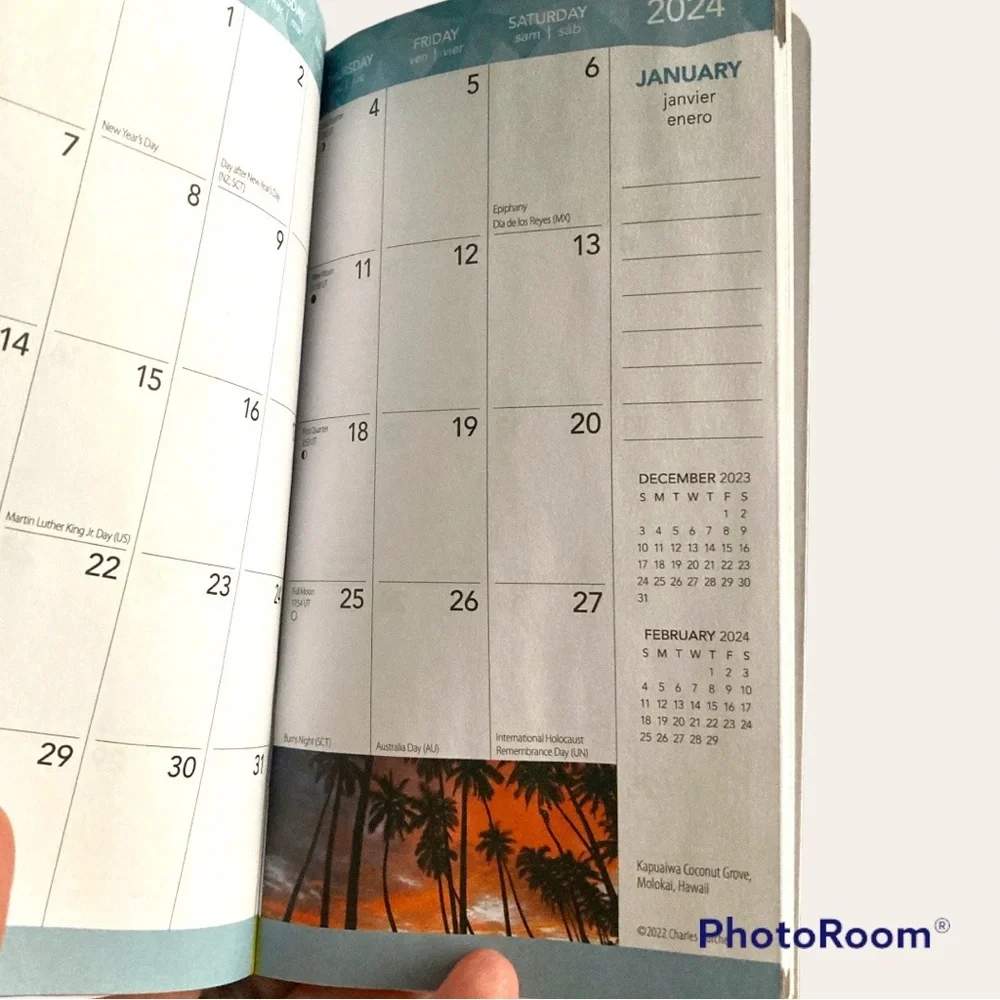 2024 Mini Planner “Tropical” View the whole month at a time. Two Full Years!